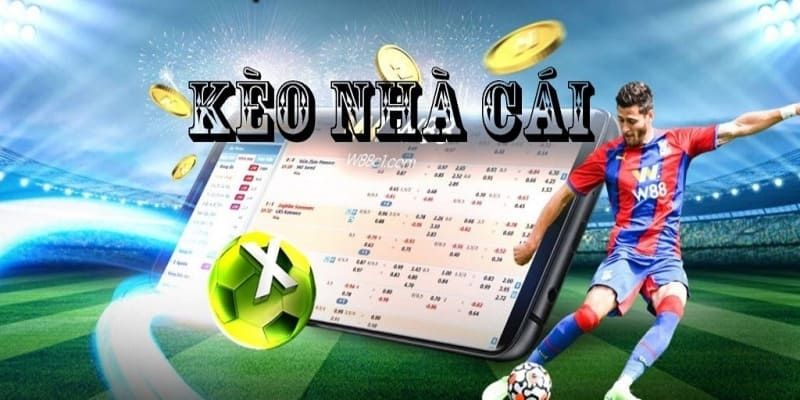 Lý do nên học hỏi mẹo đọc kèo nhà cái chuẩn